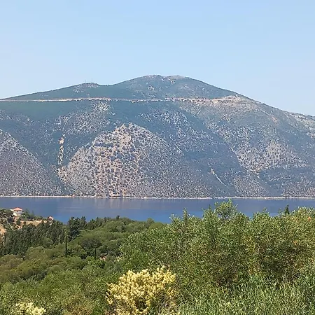 Dom wakacyjny Olive House