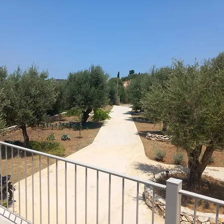 Dom wakacyjny Olive House