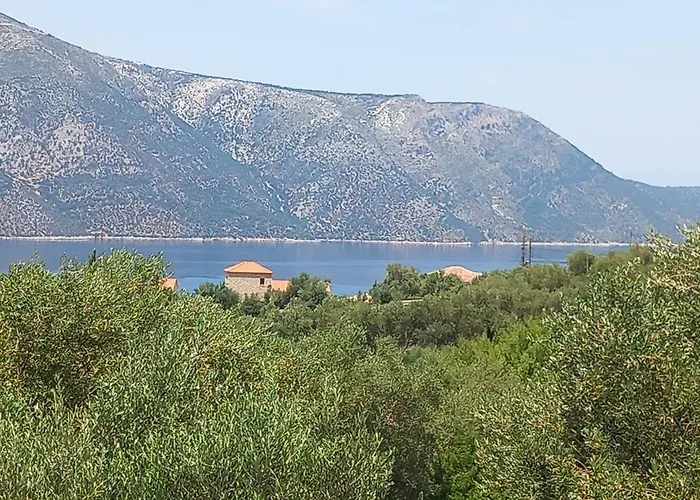 Olive House Semesterbostad